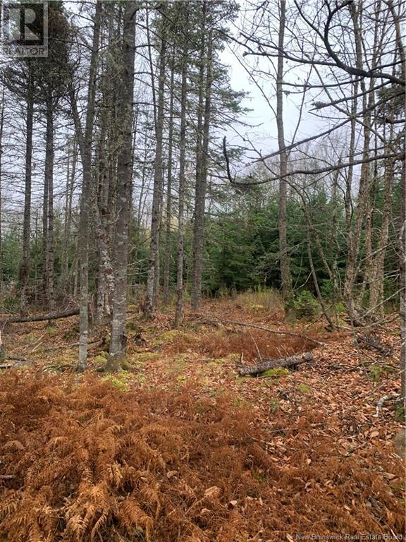 Upper Waweig Road, Upper Waweig, New Brunswick  E3L 4N1 - Photo 6 - NB108762