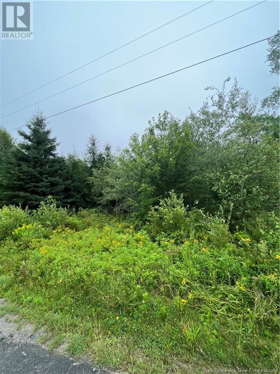 Lot Green Hill Lake Road, Greenhill, New Brunswick  E6E 1E9 - Photo 2 - NB108823