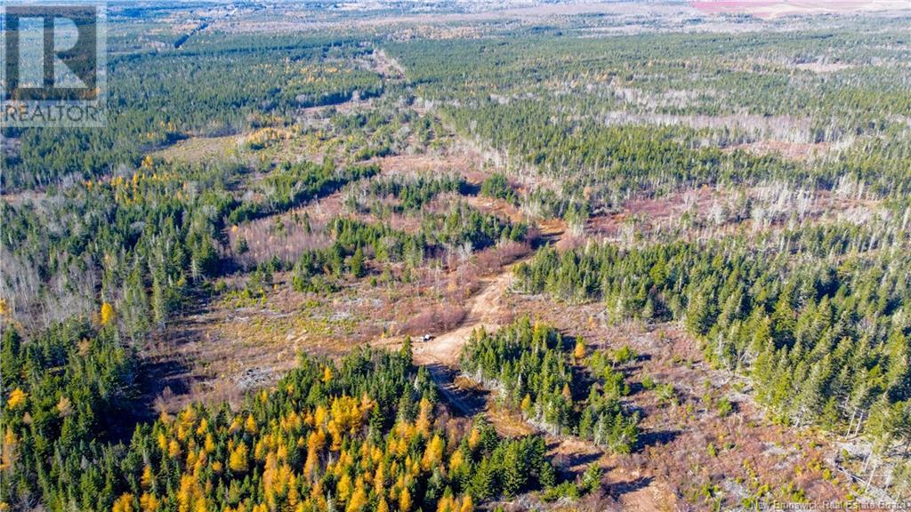 Lot #2 Highway 106, Frosty Hollow, New Brunswick  E4L 2E5 - Photo 2 - NB108745