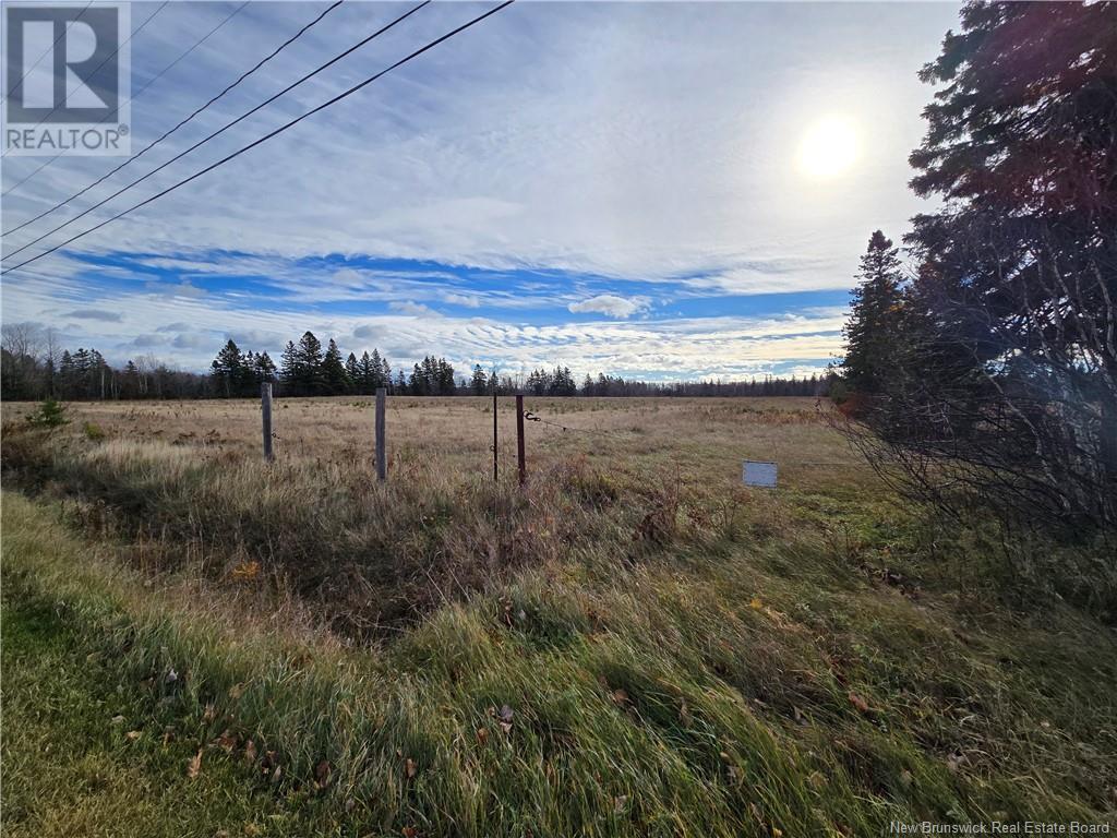 63 Acres Ch Grand Carey, Six Roads, New Brunswick  E1X 3A2 - Photo 3 - NB109001