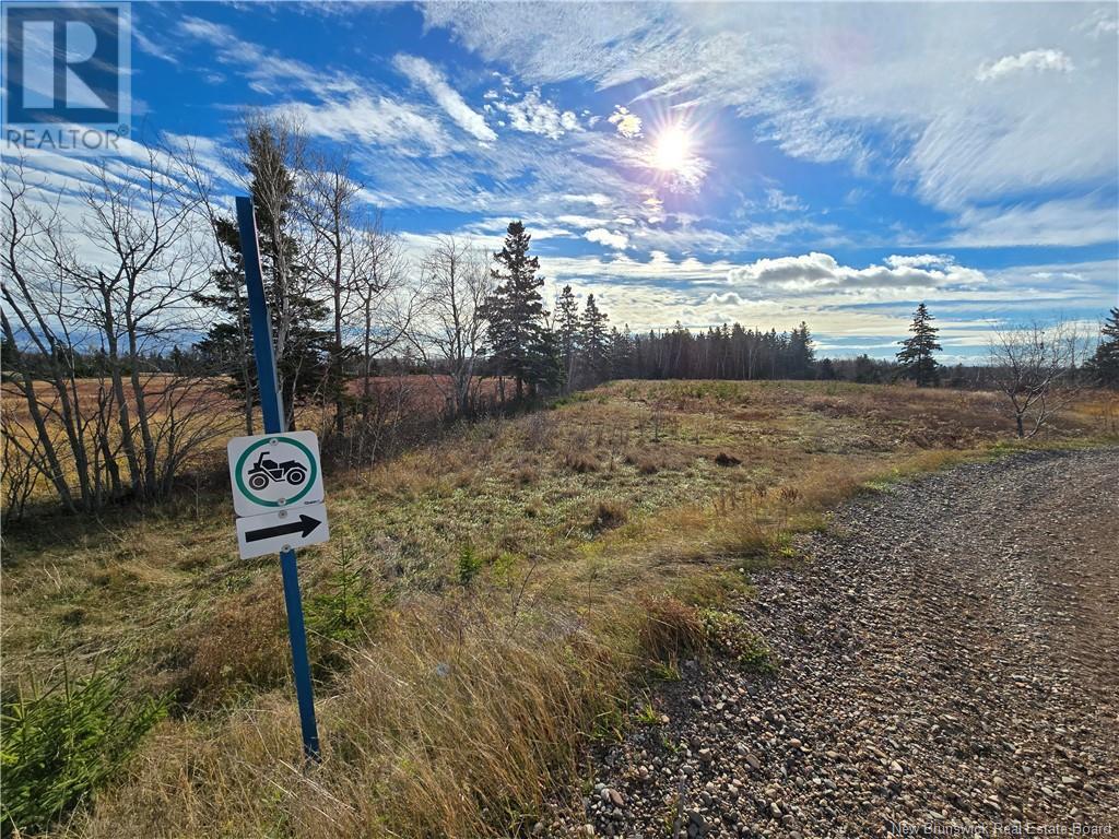 25 Acres Grand Carey Road, Six Roads, New Brunswick  E1X 3A2 - Photo 2 - NB108998