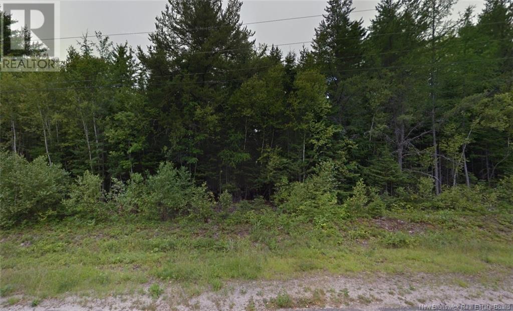 1.07 Acres Gray Street, Miramichi, New Brunswick  E1V 5X1 - Photo 3 - NB109015