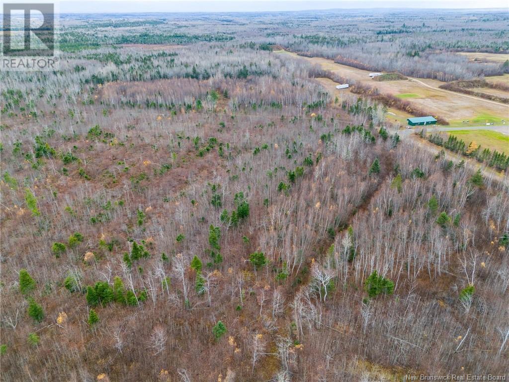 Lot Renauds Mills Road, Saint-Antoine, New Brunswick  E4V 2X7 - Photo 10 - NB108874