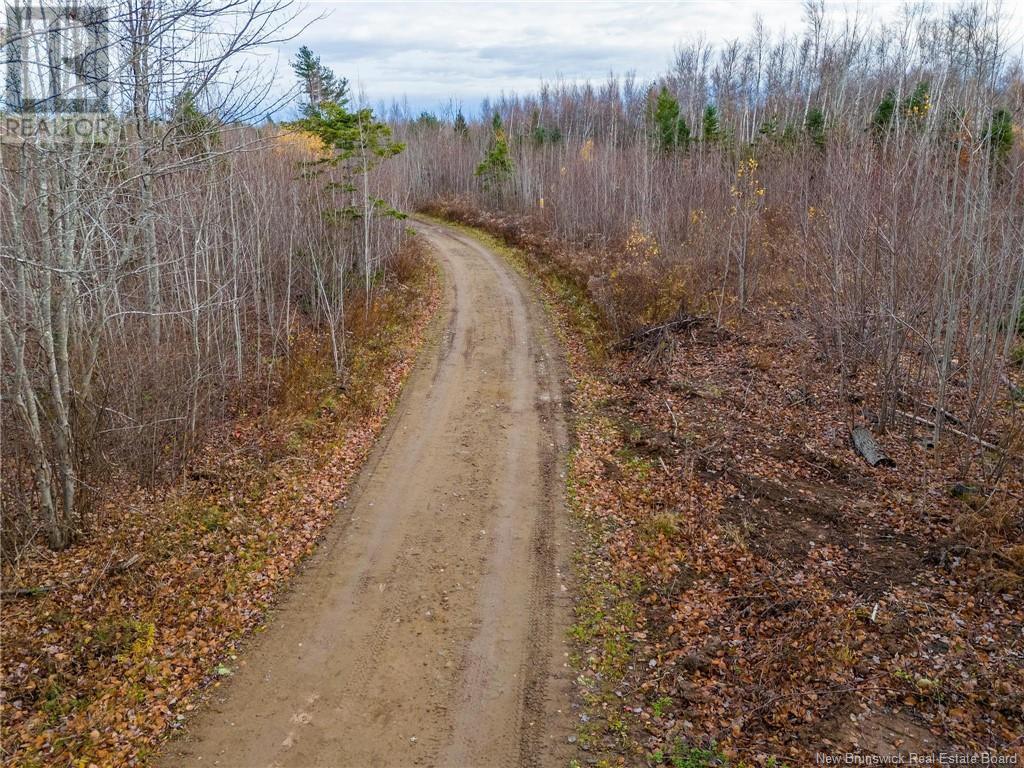 Lot Renauds Mills Road, Saint-Antoine, New Brunswick  E4V 2X7 - Photo 12 - NB108874