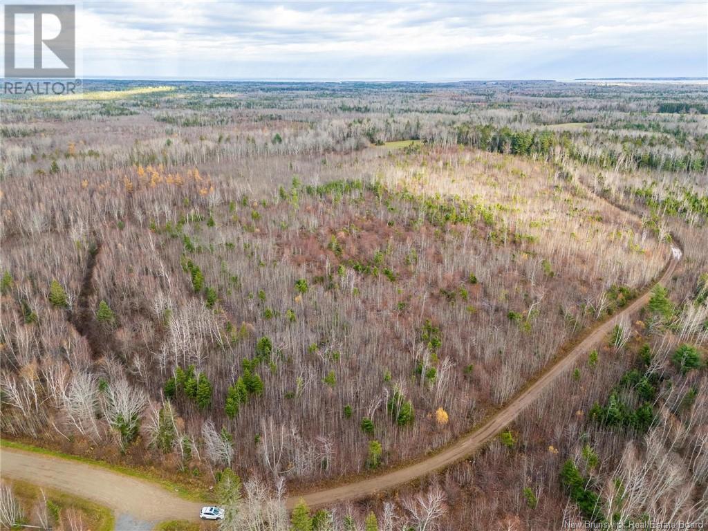 Lot Renauds Mills Road, Saint-Antoine, New Brunswick  E4V 2X7 - Photo 13 - NB108874