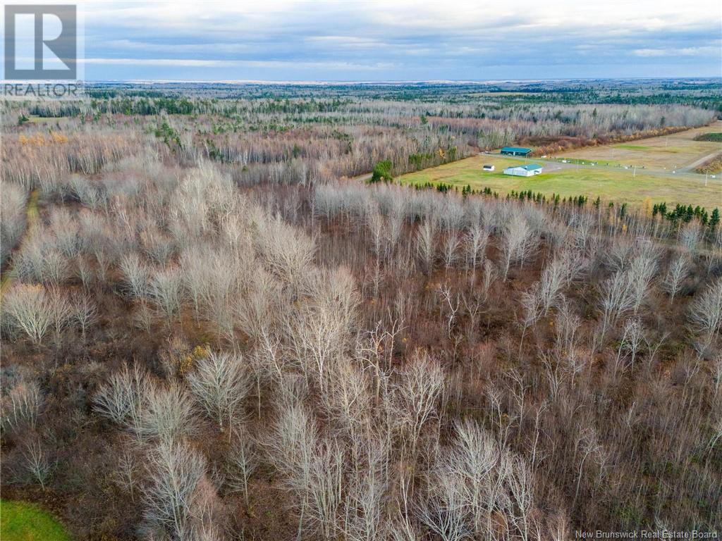 Lot Renauds Mills Road, Saint-Antoine, New Brunswick  E4V 2X7 - Photo 15 - NB108874