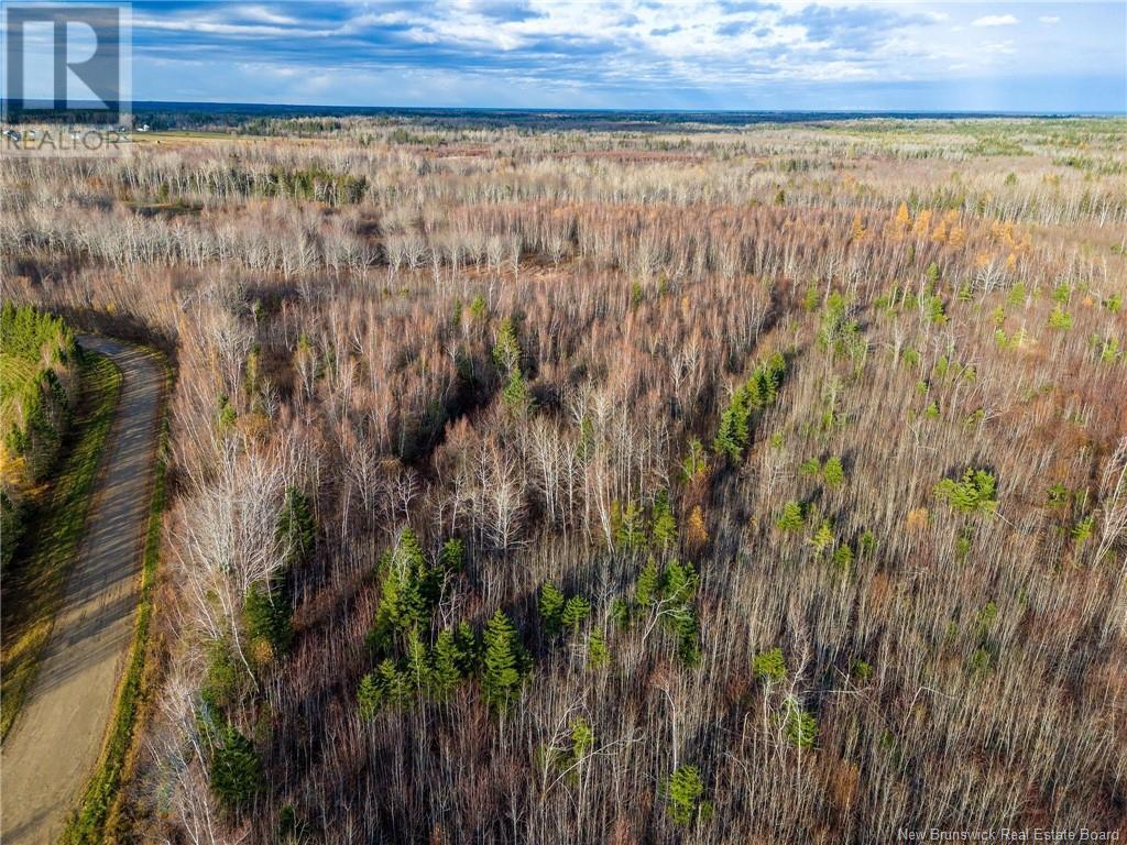 Lot Renauds Mills Road, Saint-Antoine, New Brunswick  E4V 2X7 - Photo 2 - NB108874