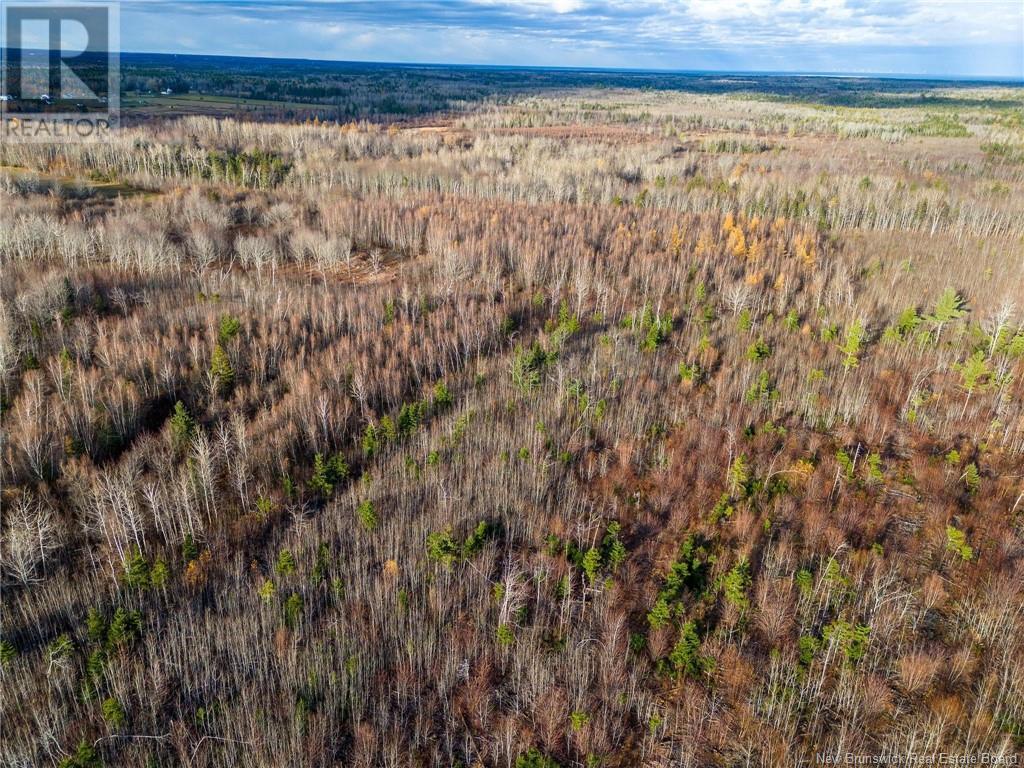 Lot Renauds Mills Road, Saint-Antoine, New Brunswick  E4V 2X7 - Photo 3 - NB108874