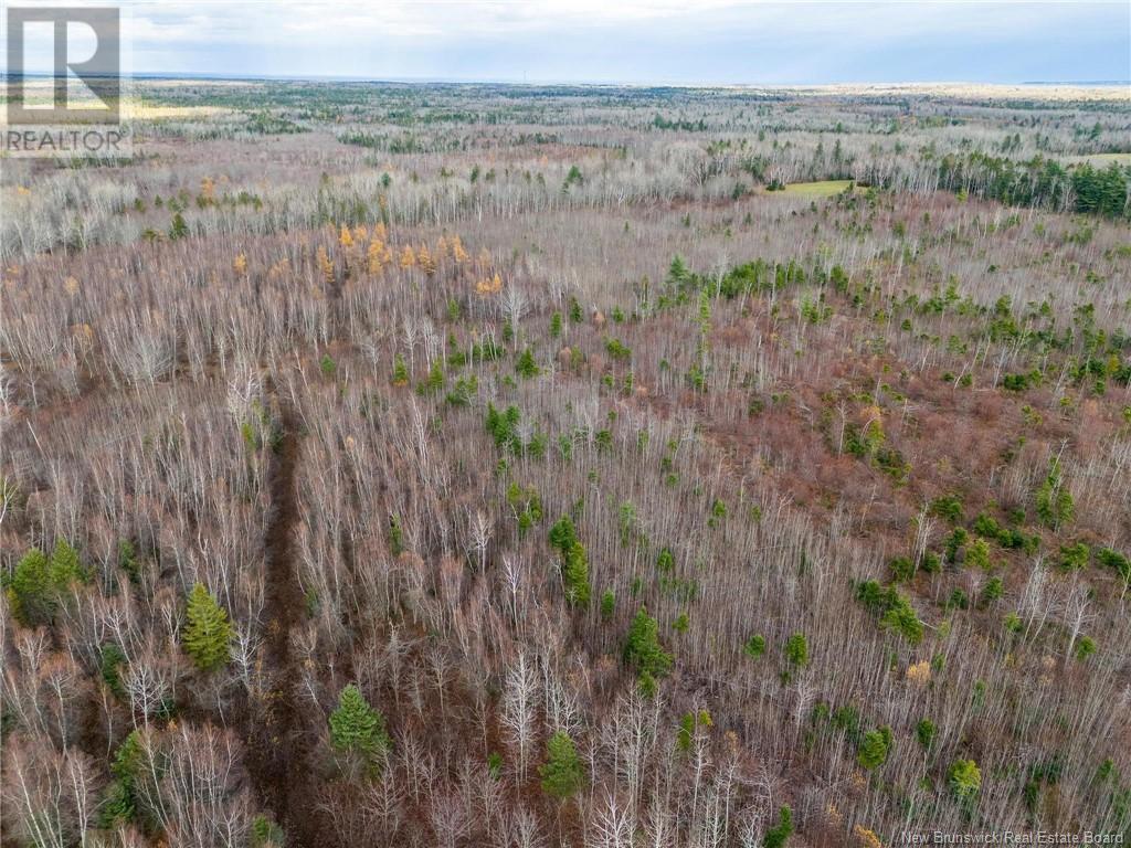 Lot Renauds Mills Road, Saint-Antoine, New Brunswick  E4V 2X7 - Photo 6 - NB108874