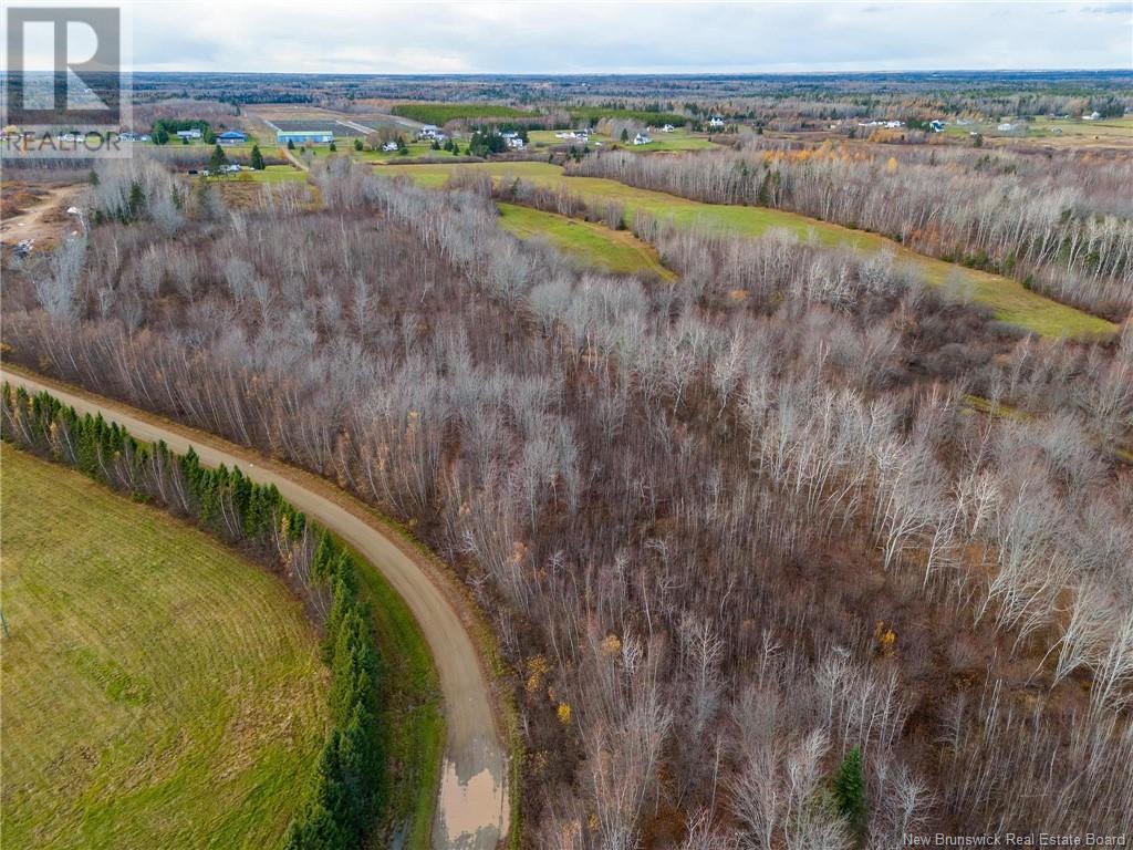 Lot Renauds Mills Road, Saint-Antoine, New Brunswick  E4V 2X7 - Photo 7 - NB108874