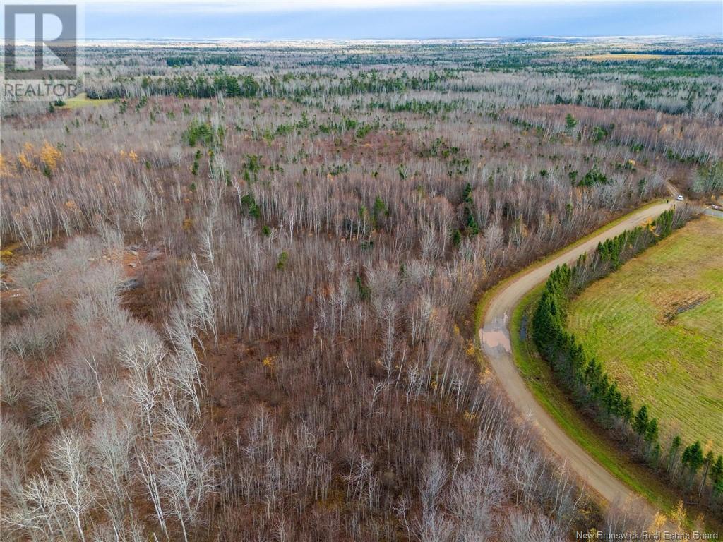 Lot Renauds Mills Road, Saint-Antoine, New Brunswick  E4V 2X7 - Photo 8 - NB108874