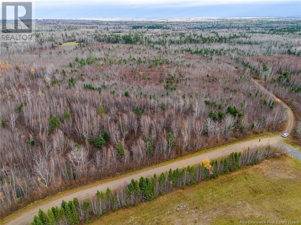 Lot Renauds Mills Road, Saint-Antoine, New Brunswick  E4V 2X7 - Photo 9 - NB108874