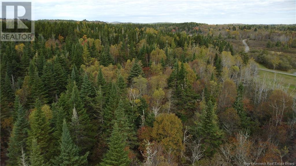 Lot Sam Hatt Road, Letang, New Brunswick  E5C 1Z9 - Photo 10 - NB109139