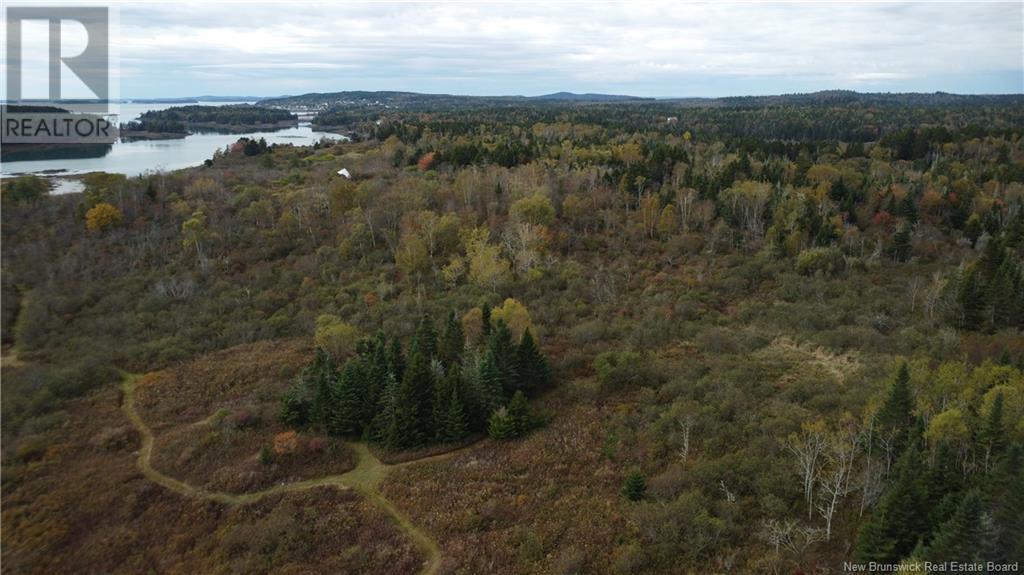 Lot Sam Hatt Road, Letang, New Brunswick  E5C 1Z9 - Photo 12 - NB109139