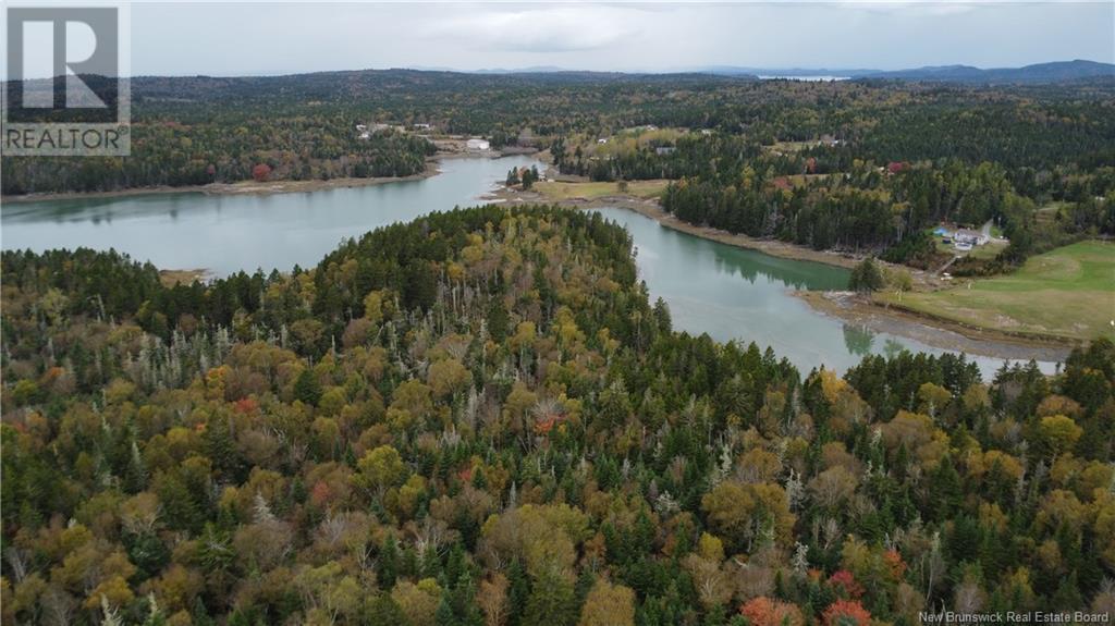 Lot Sam Hatt Road, Letang, New Brunswick  E5C 1Z9 - Photo 24 - NB109139