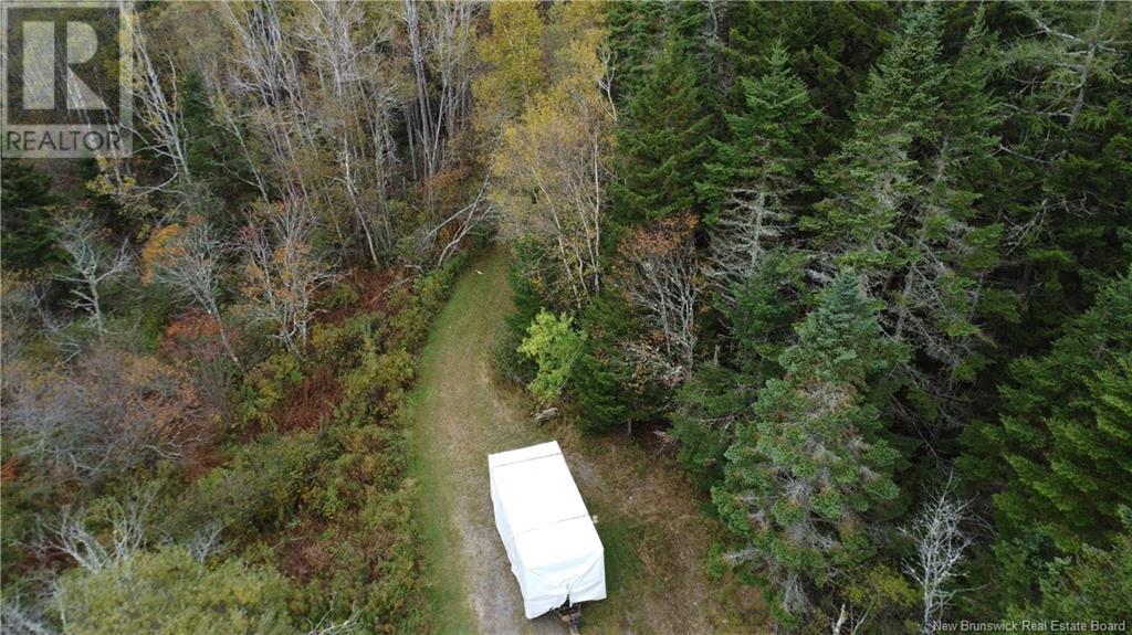 Lot Sam Hatt Road, Letang, New Brunswick  E5C 1Z9 - Photo 32 - NB109139