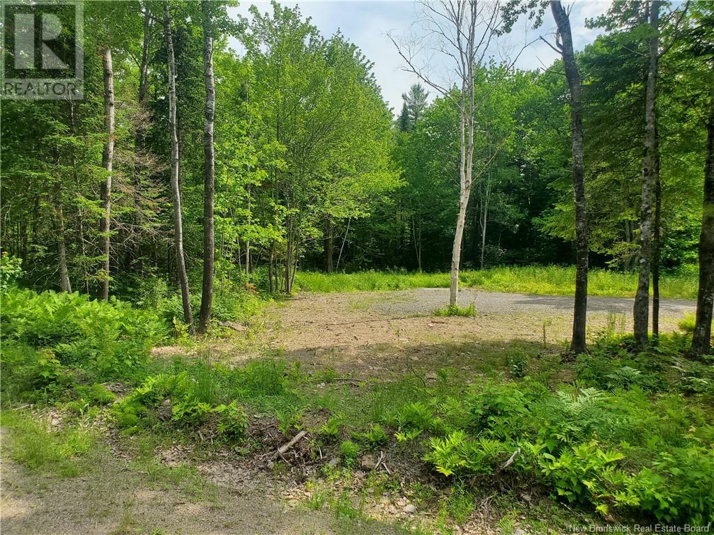 Lot 58 Hughes Street, Noonan, New Brunswick  E3A 7B6 - Photo 1 - NB109176