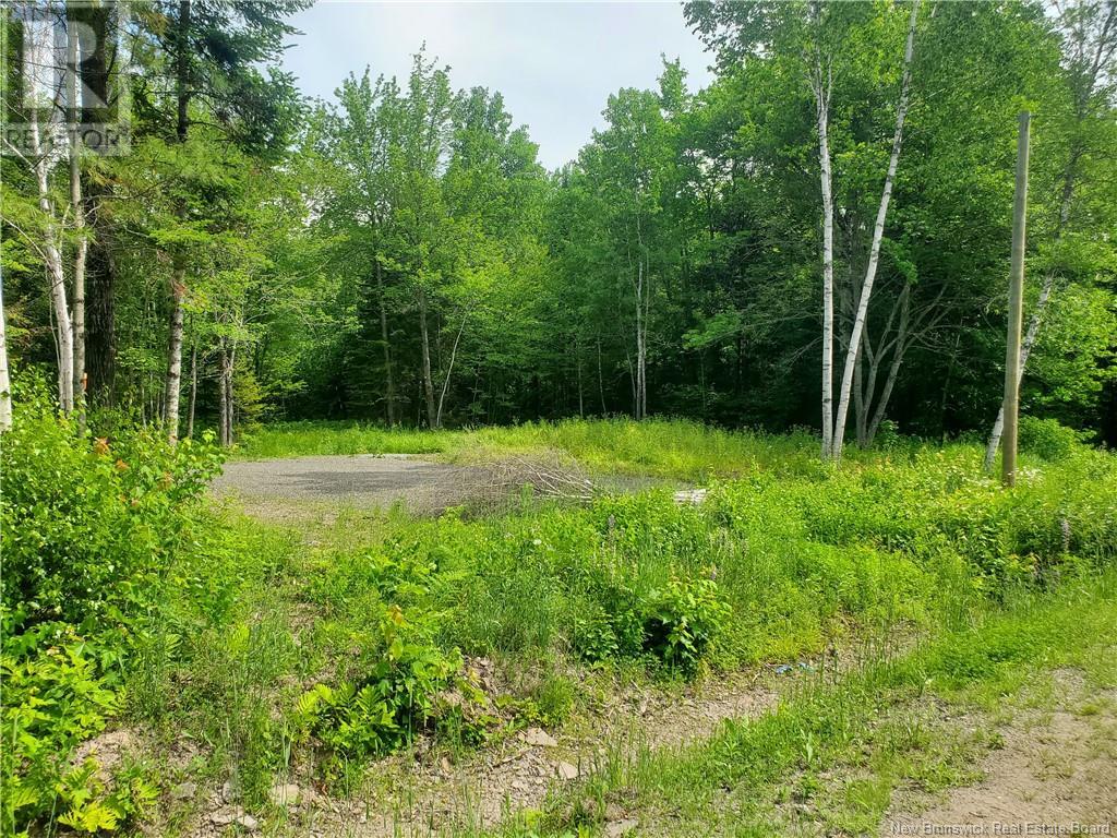 Lot 58 Hughes Street, Noonan, New Brunswick  E3A 7B6 - Photo 3 - NB109176