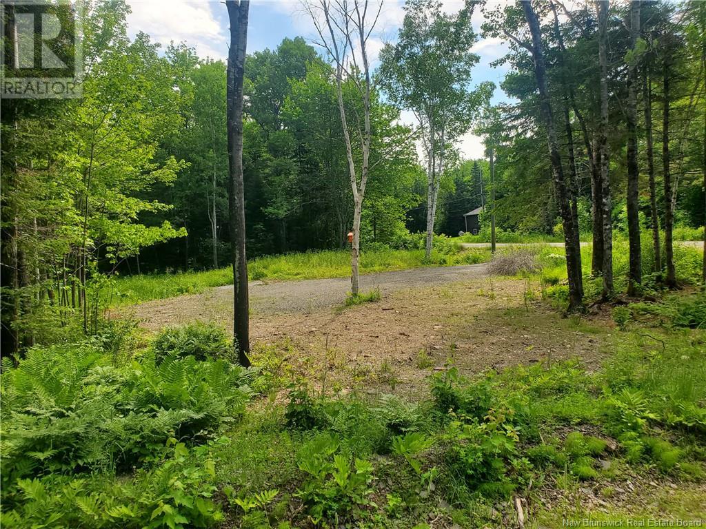 Lot 58 Hughes Street, Noonan, New Brunswick  E3A 7B6 - Photo 4 - NB109176