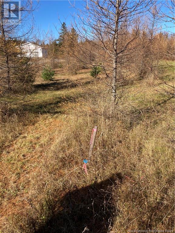 Kelly Road, Canal, New Brunswick  E5C 1L8 - Photo 3 - NB109395