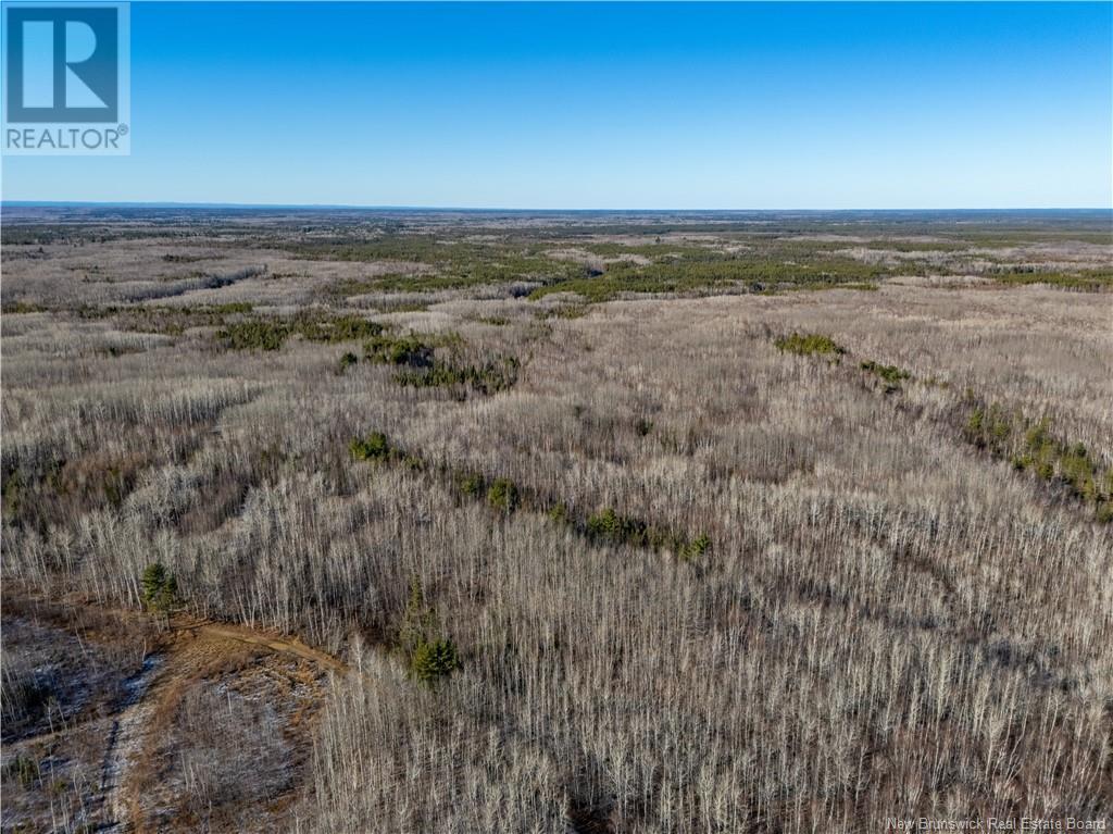 100 Acres McKinnon Road, Miramichi, New Brunswick