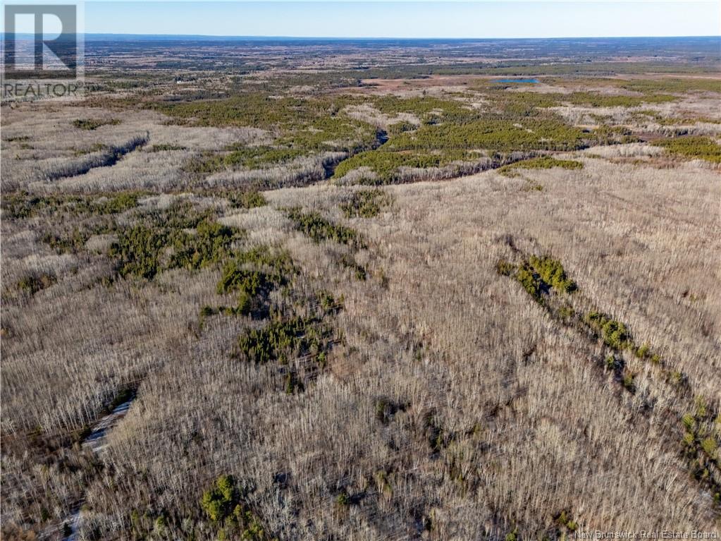 100 Acres Mckinnon Road, Miramichi, New Brunswick  E1V 5Y1 - Photo 2 - NB109405