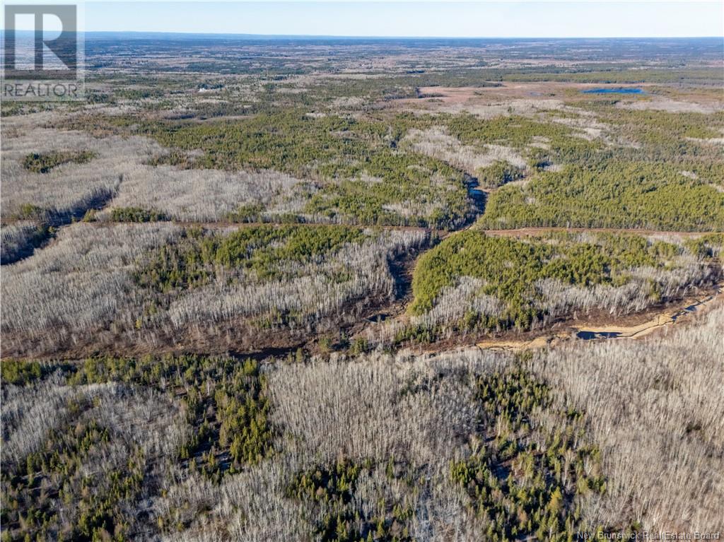 100 Acres Mckinnon Road, Miramichi, New Brunswick  E1V 5Y1 - Photo 3 - NB109405