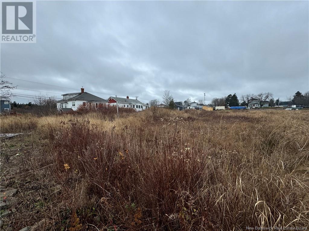 861 Route 776, Grand Manan, New Brunswick  E5G 2E3 - Photo 25 - NB109429
