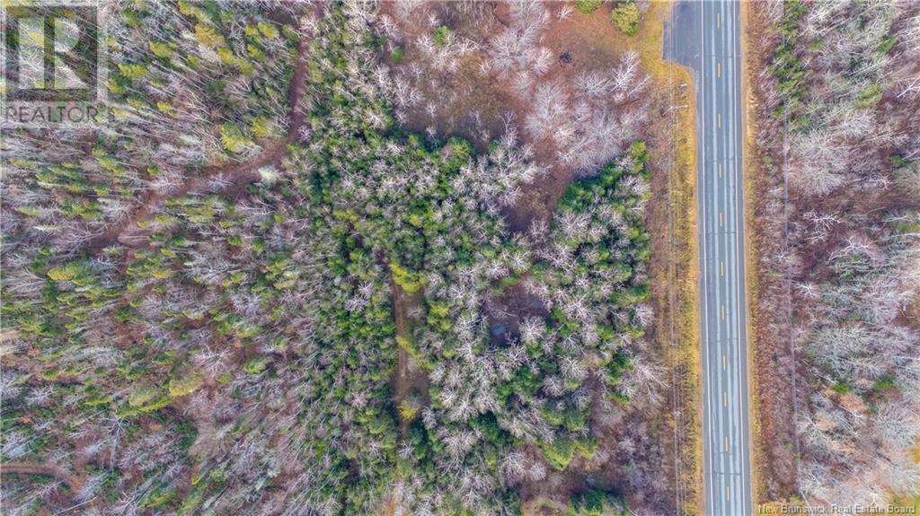 Lot Rue Bellechasse Street, Paquetville, New Brunswick  E8R 1M9 - Photo 8 - NB109433