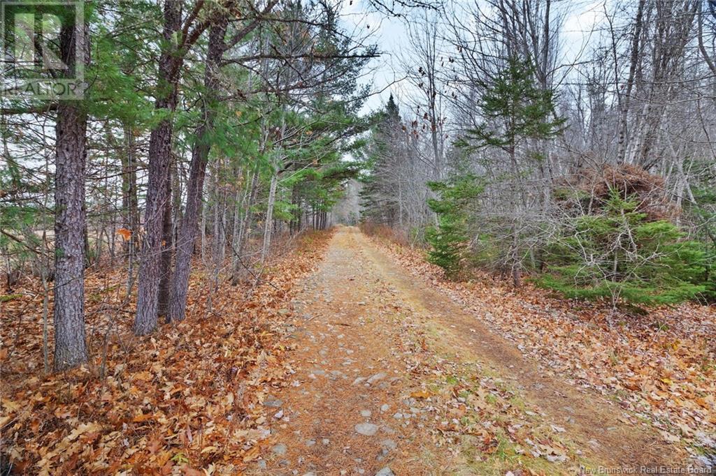 8353 Route 10, Cumberland Bay, New Brunswick  O0O 0O0 - Photo 12 - NB109469