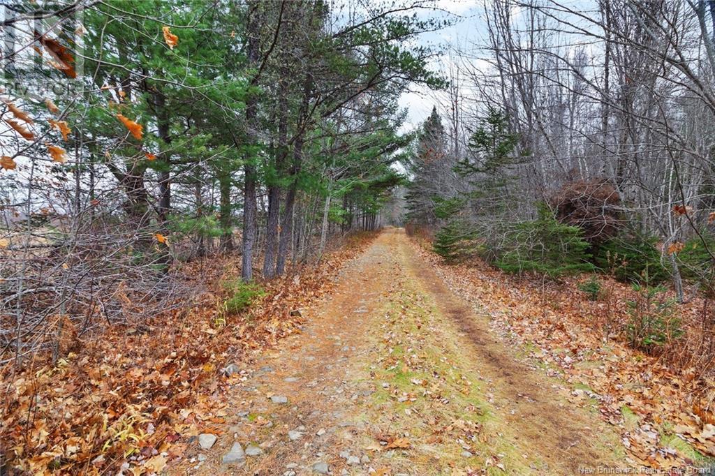 8353 Route 10, Cumberland Bay, New Brunswick  O0O 0O0 - Photo 13 - NB109469