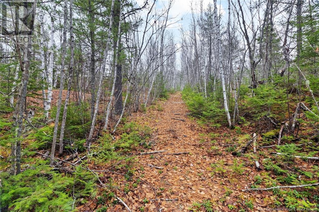 8353 Route 10, Cumberland Bay, New Brunswick  O0O 0O0 - Photo 15 - NB109469