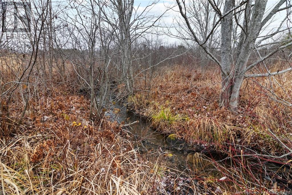 8353 Route 10, Cumberland Bay, New Brunswick  O0O 0O0 - Photo 22 - NB109469