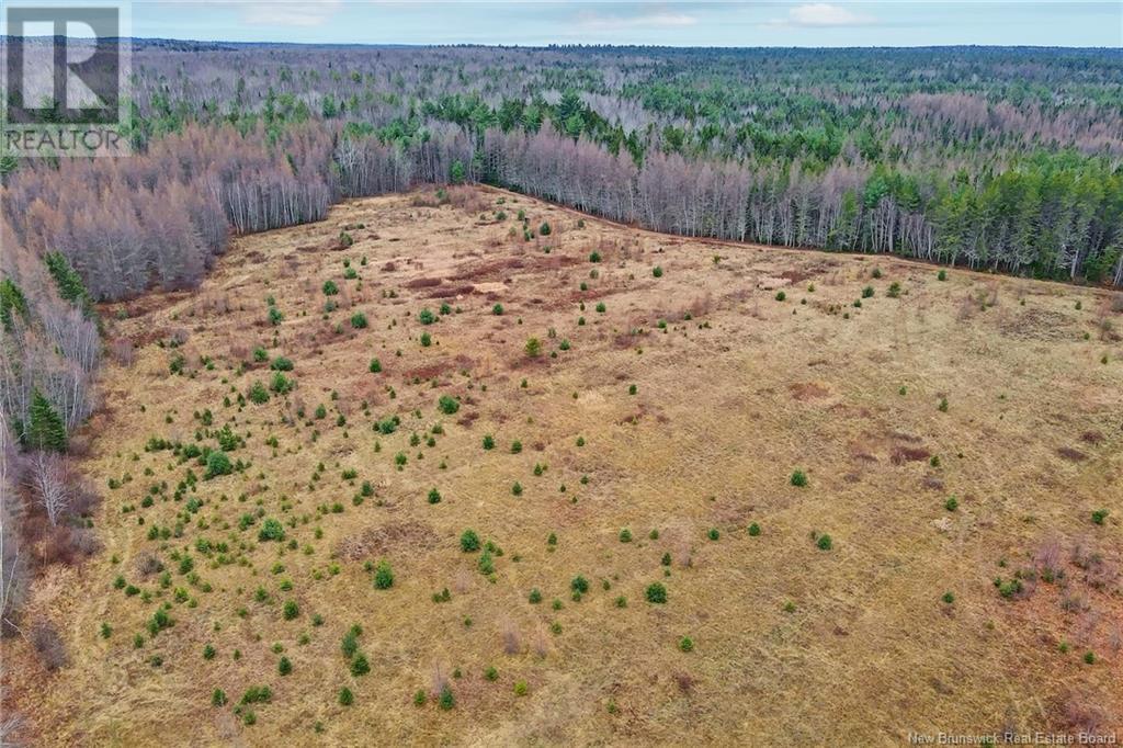 8353 Route 10, Cumberland Bay, New Brunswick  O0O 0O0 - Photo 31 - NB109469