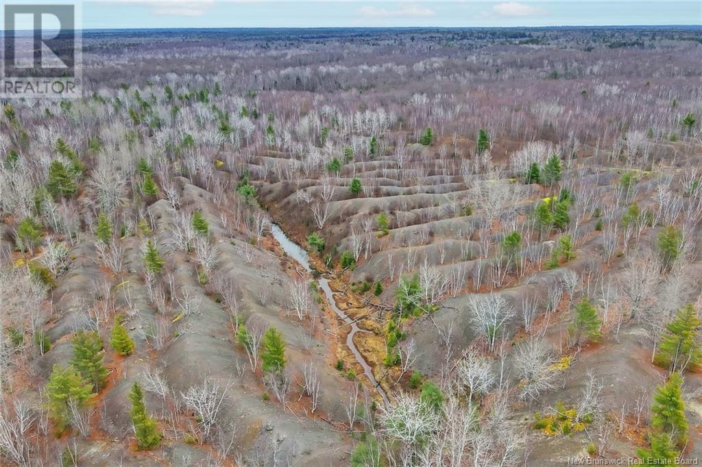 8353 Route 10, Cumberland Bay, New Brunswick  O0O 0O0 - Photo 37 - NB109469