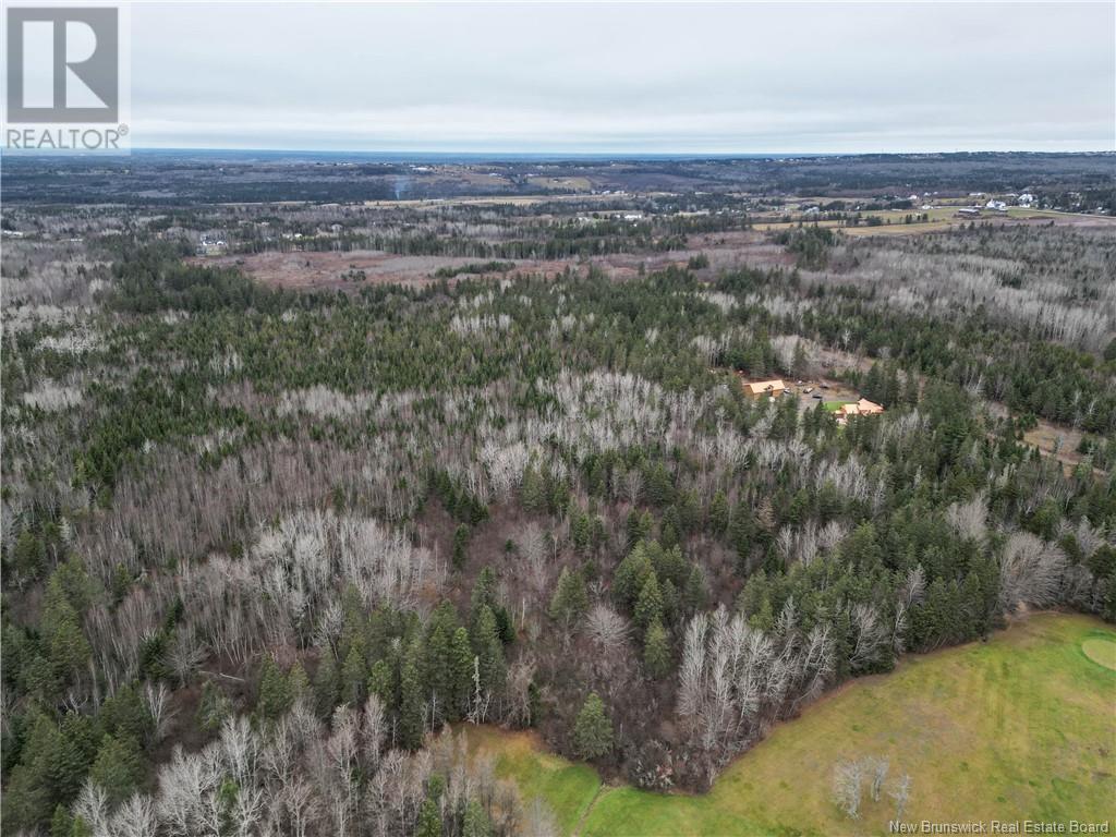 47977 Homestead Road, Lutes Mountain, New Brunswick  E1G 2M2 - Photo 42 - NB109212