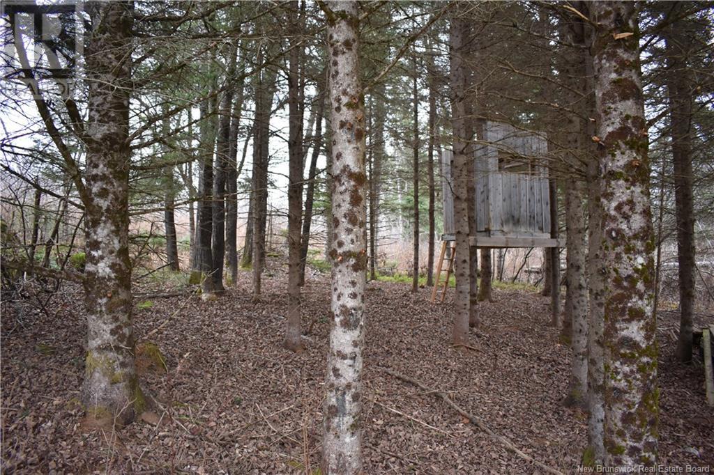 1122 Route 580, Glassville, New Brunswick  E7L 1P8 - Photo 13 - NB109585