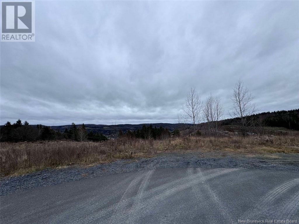 Lot 7 De La Tour Street, Edmundston, New Brunswick  E3V 0G8 - Photo 3 - NB109545