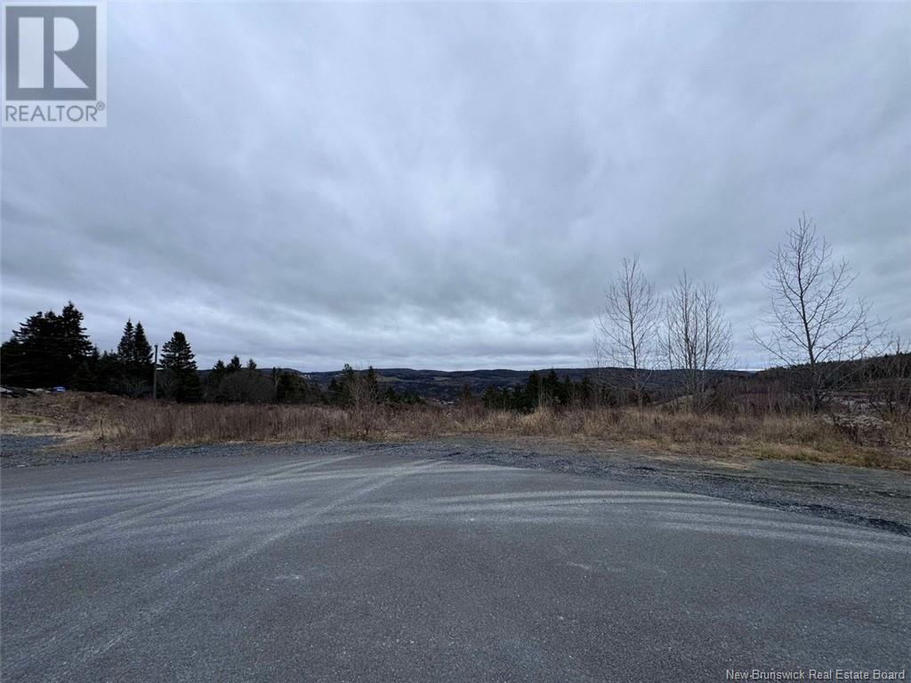 Lot 7 De La Tour Street, Edmundston, New Brunswick  E3V 0G8 - Photo 4 - NB109545