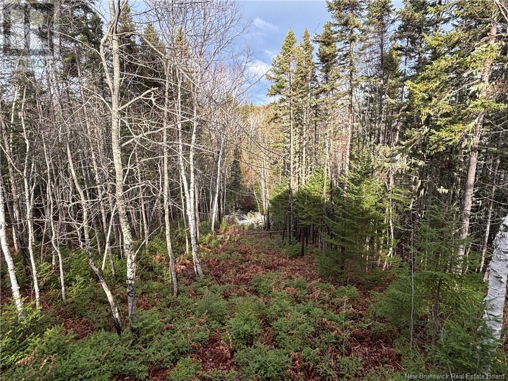 Camp Chemin Val-Michaud, Sormany, New Brunswick  E8K 2Z4 - Photo 17 - NB109696