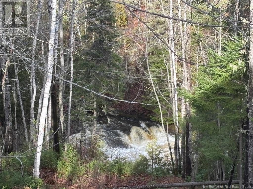 Camp Chemin Val-Michaud, Sormany, New Brunswick  E8K 2Z4 - Photo 18 - NB109696