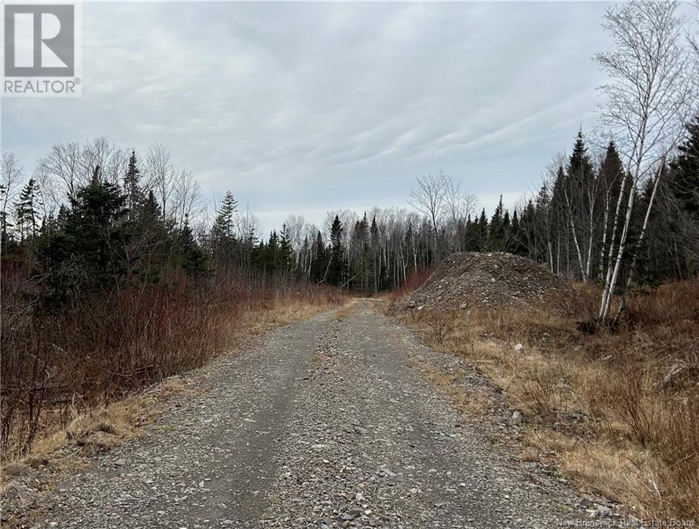 Lot De La Riviere, Nigadoo, New Brunswick  E8K 3M1 - Photo 2 - NB109735