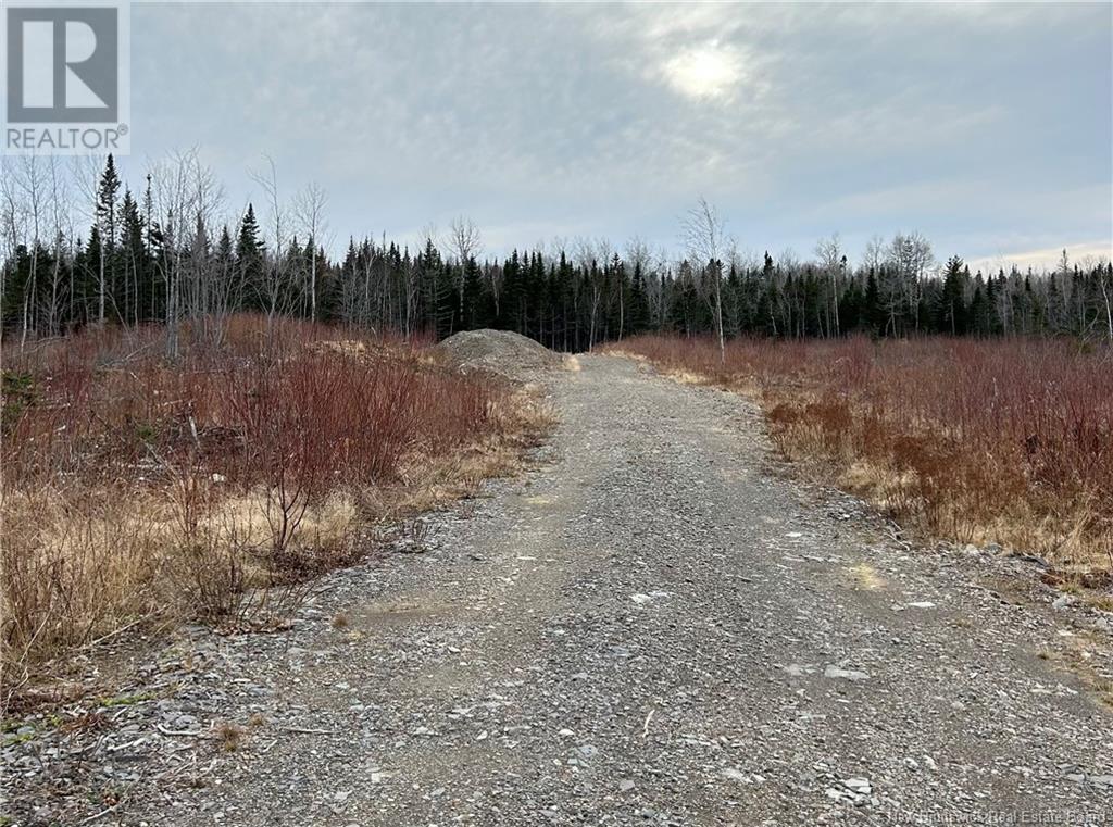 Lot De La Riviere, Nigadoo, New Brunswick  E8K 3M1 - Photo 3 - NB109735