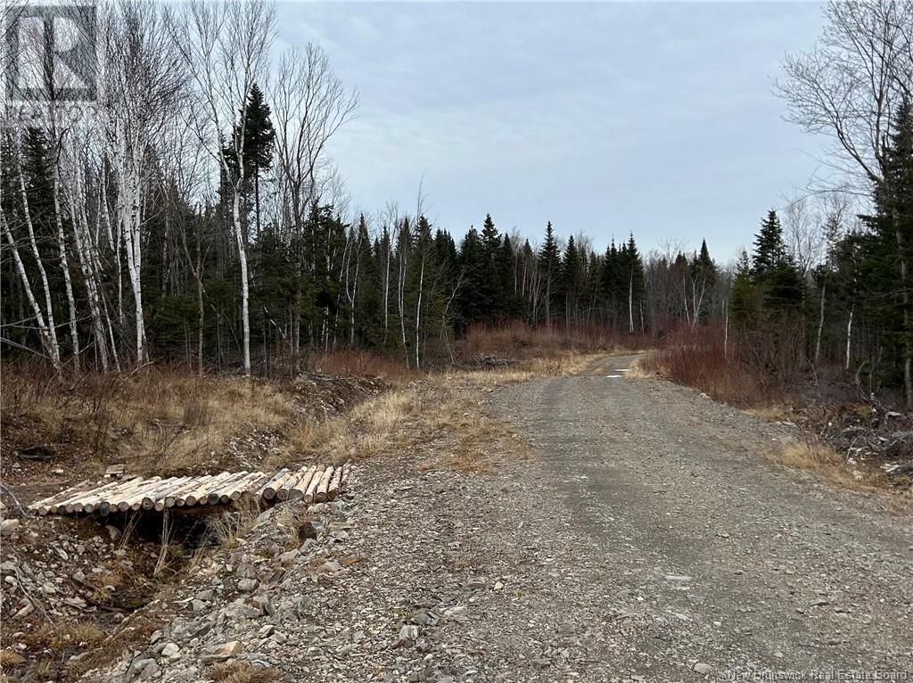 Lot De La Riviere, Nigadoo, New Brunswick  E8K 3M1 - Photo 4 - NB109735