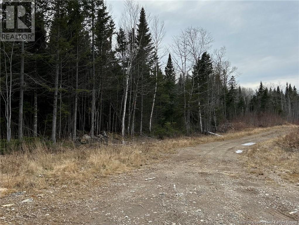 Lot De La Riviere, Nigadoo, New Brunswick  E8K 3M1 - Photo 6 - NB109735