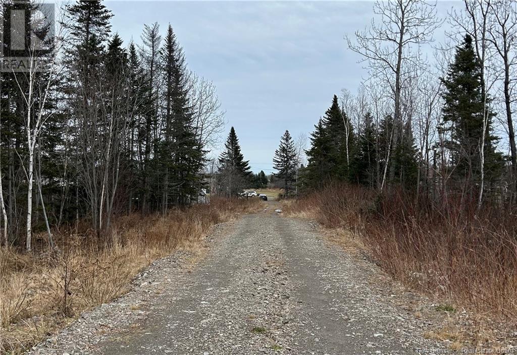 Lot De La Riviere, Nigadoo, New Brunswick  E8K 3M1 - Photo 8 - NB109735