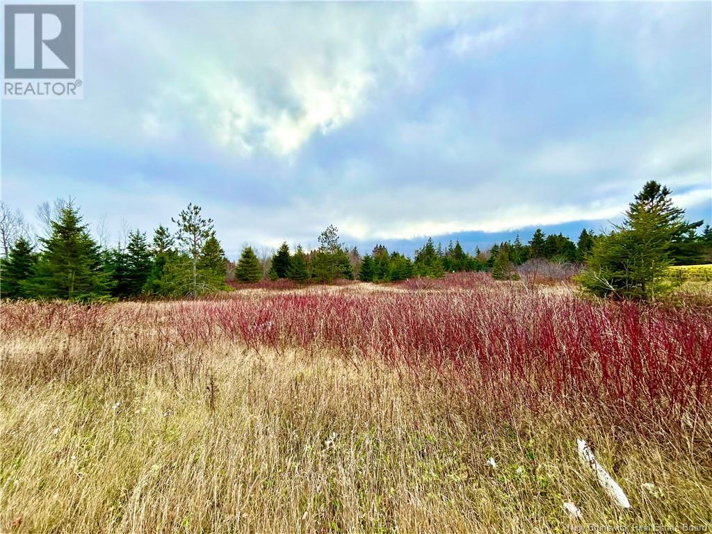 Lot Route 113, Miscou, New Brunswick  E8T 1C7 - Photo 2 - NB109730