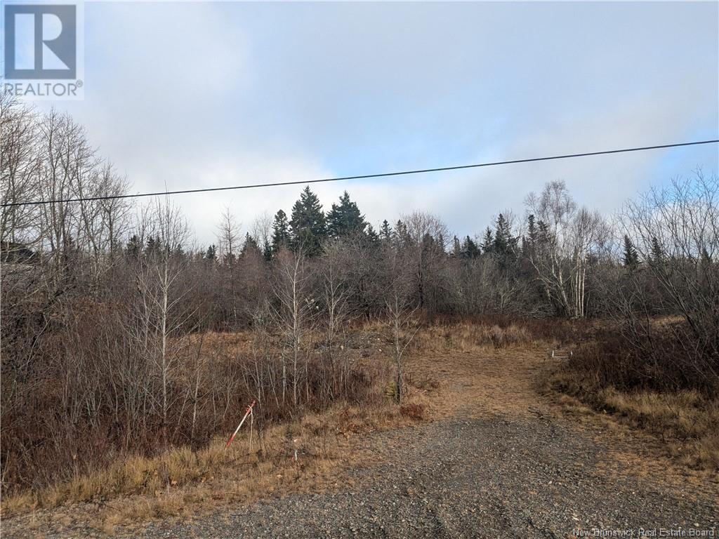 3755 Route 760, St George, New Brunswick  E5C 1A9 - Photo 17 - NB109752