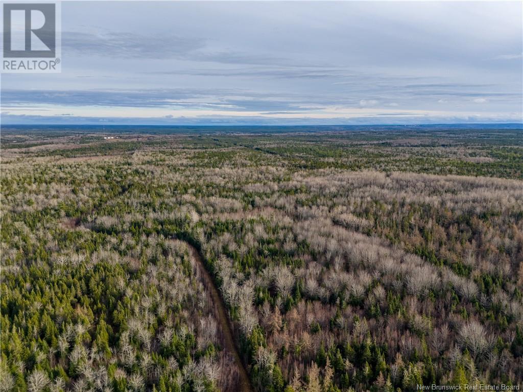 Lot Melanson Road, Dieppe, New Brunswick  E1H 2C5 - Photo 21 - NB109829