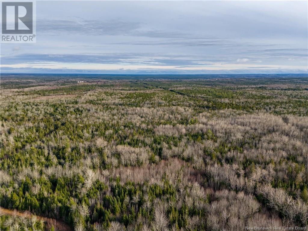 Lot Melanson Road, Dieppe, New Brunswick  E1H 2C5 - Photo 22 - NB109829